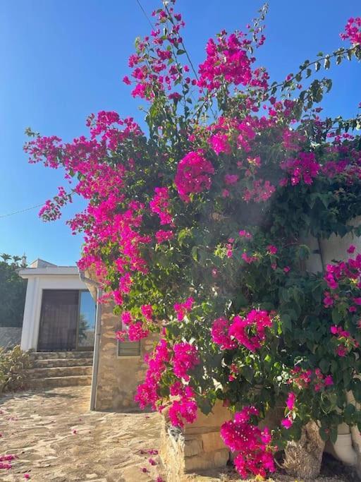 Rustico Appartment 'Olta' In Finca, See-And Garden Side Teulada Exterior foto